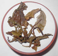 Infusion of sheng puer called Mini Menghai 1999
